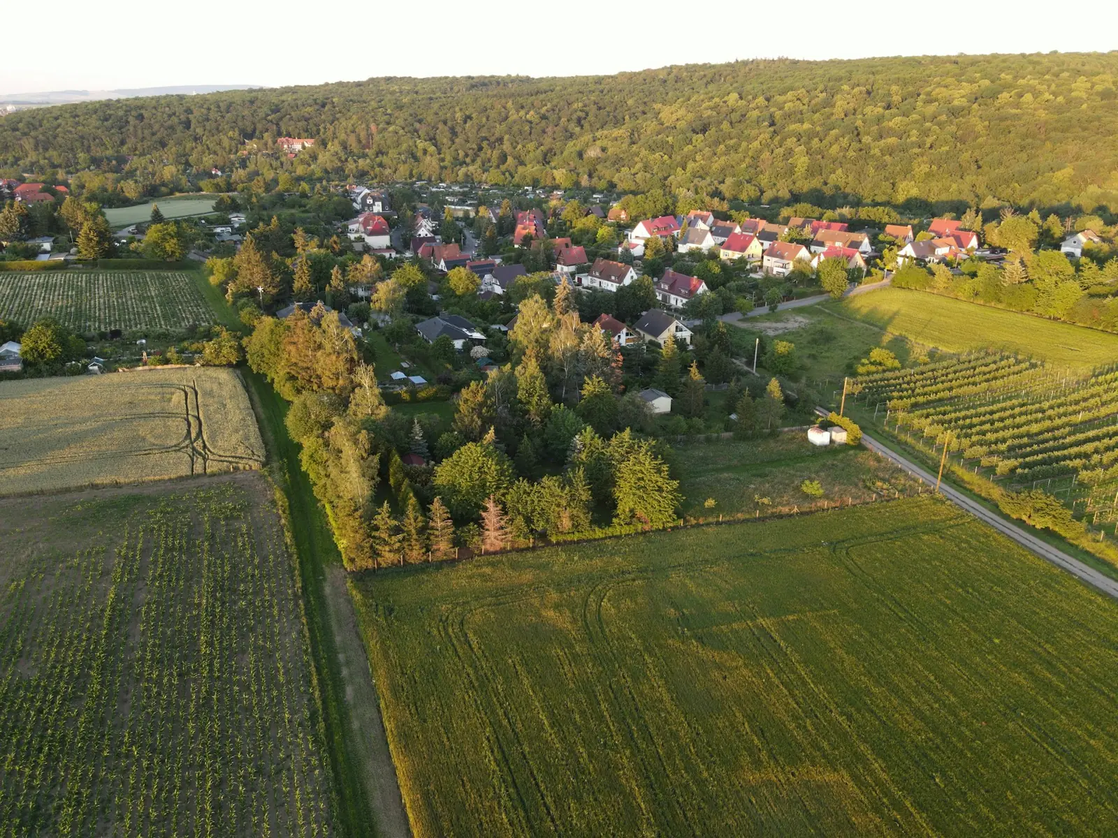 Luftaufnahme von Feldern und Grundstücken am Ortsrand